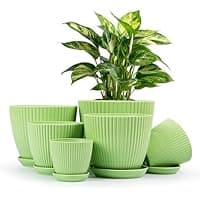 Amazon : 6-Piece Thick and Durable Plastic Flower Pots $8.39 (Reg $20) + Free prime shipping. #ad